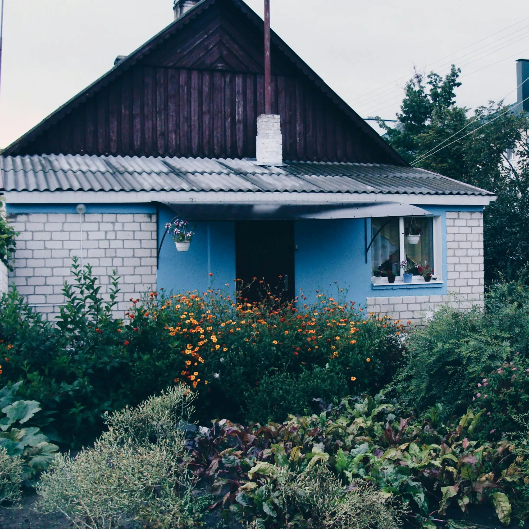 Small single-story cottage with a blue front and a planted front garden